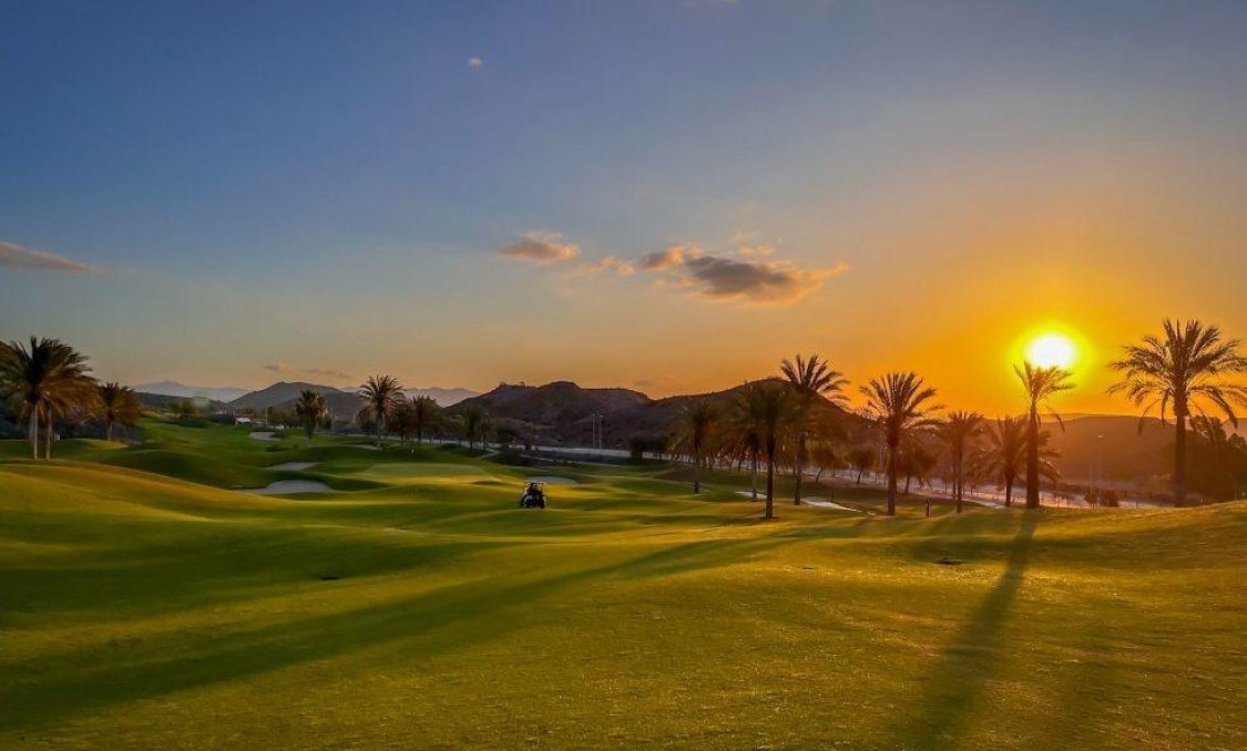 New Build - Penthouse -
Pulpi - Aguilón Golf