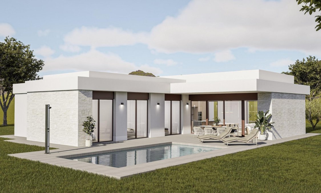 New Build - villa -
Pinoso - Lel
