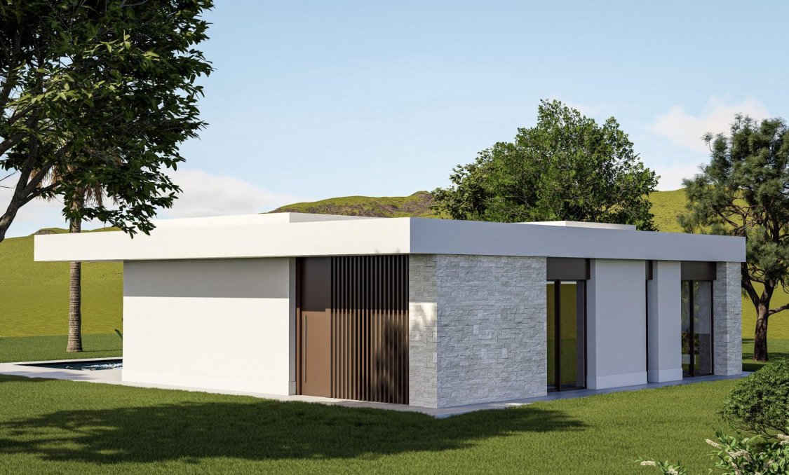 New Build - villa -
Pinoso - Lel