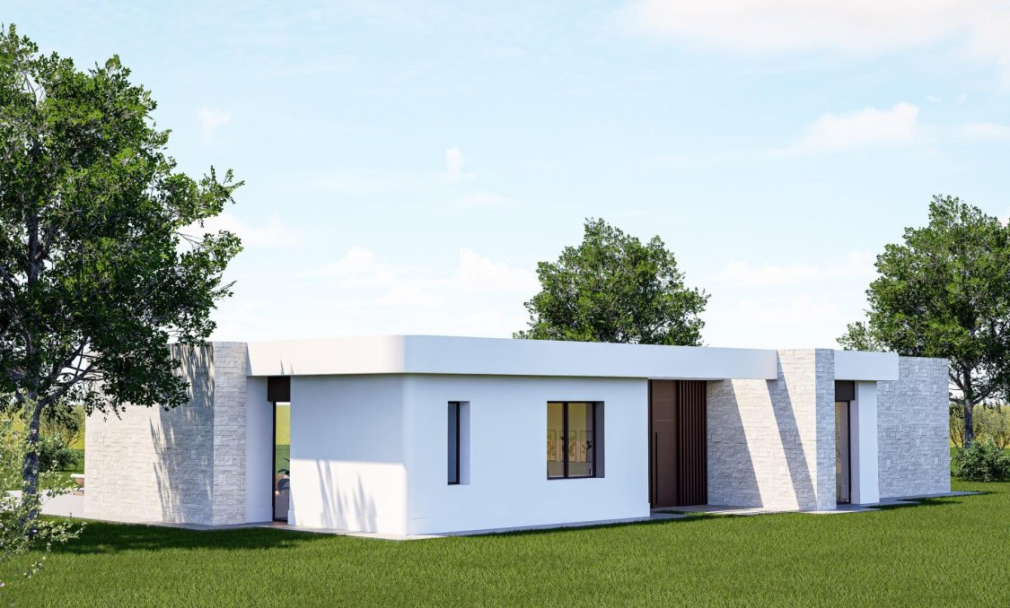 New Build - villa -
Pinoso - Lel