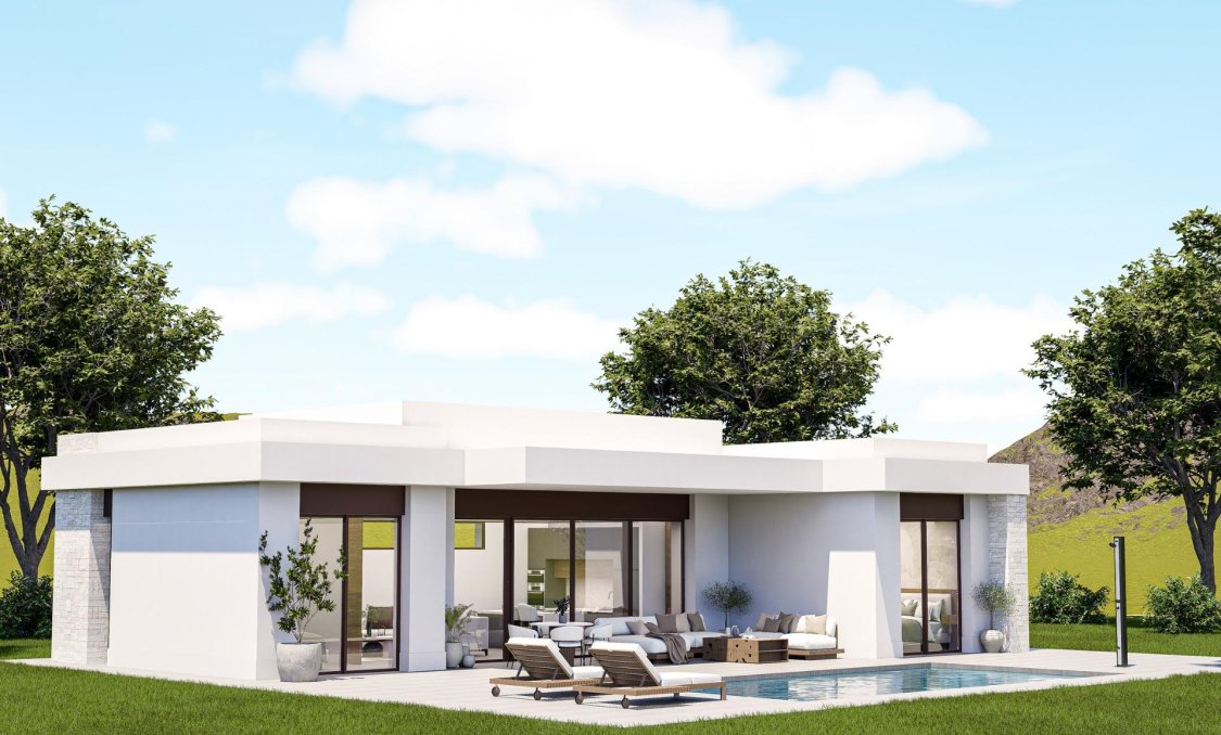 New Build - villa -
Pinoso - Lel
