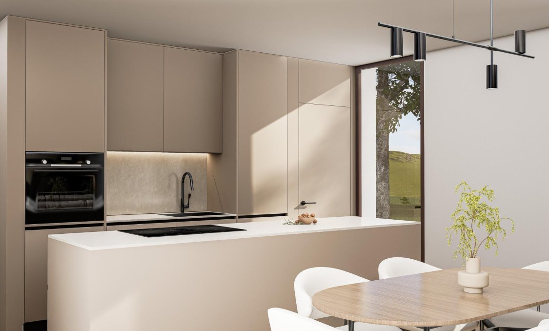 New Build - villa -
Pinoso - Lel