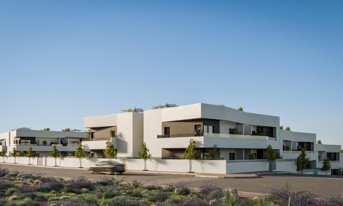 Obra nueva - Bungalow -
San Miguel de Salinas - Pueblo