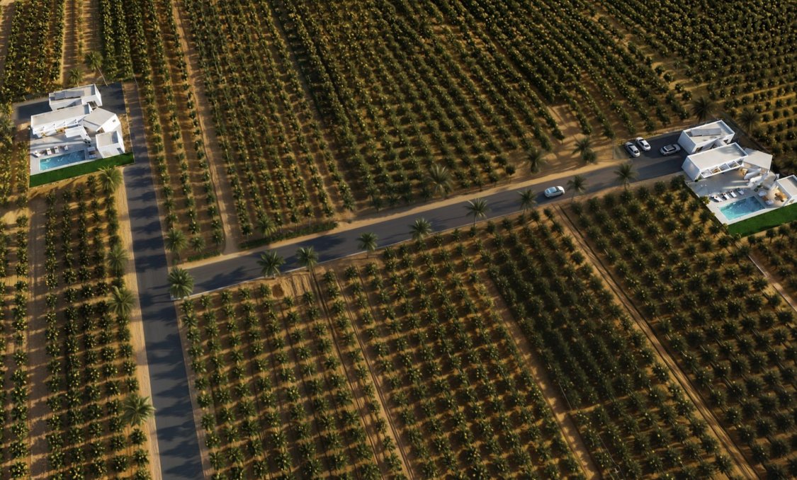 New Build - villa -
Benejúzar - alta