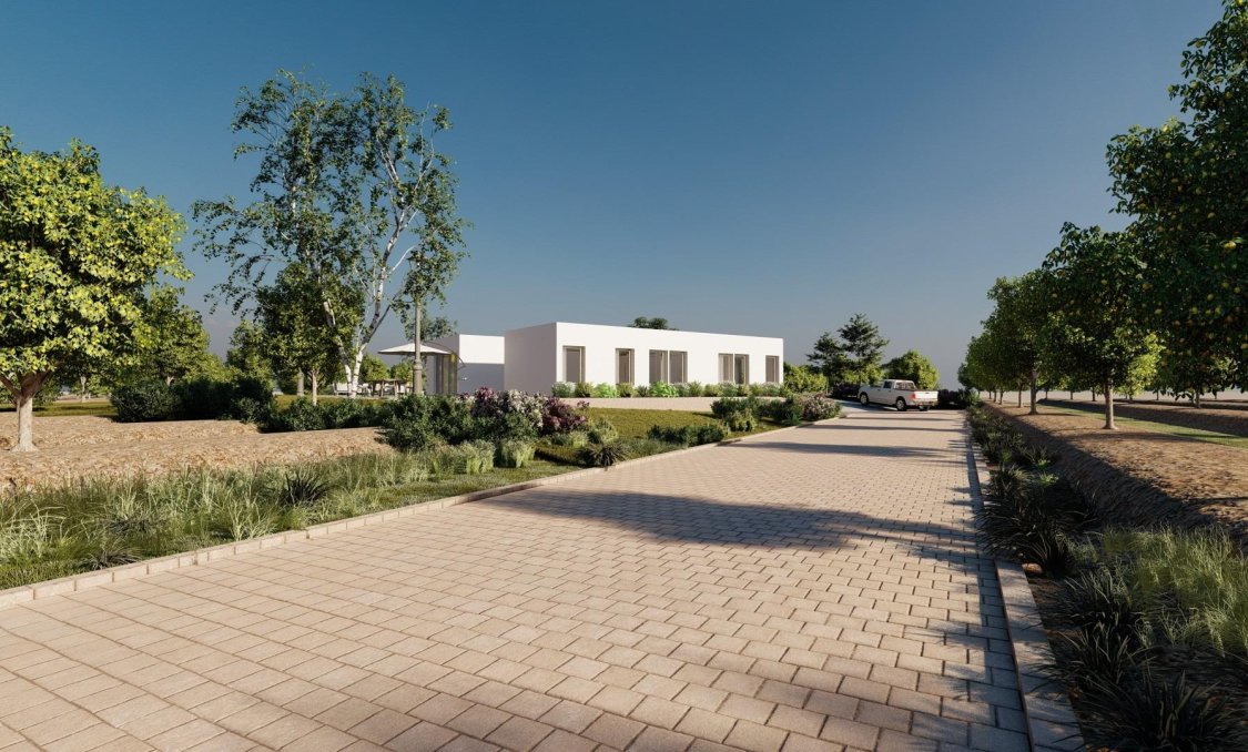 New Build - villa -
Benejúzar - alta