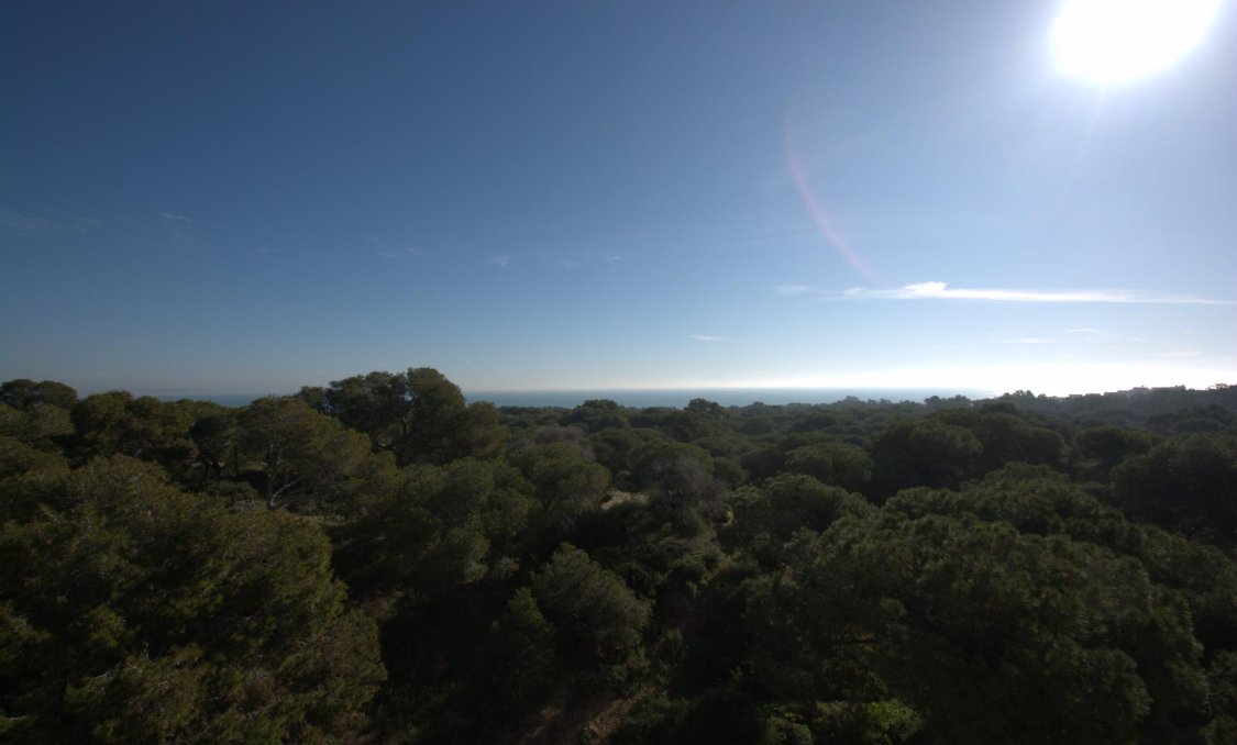 New Build - Penthouse -
Guardamar del Segura - Pueblo