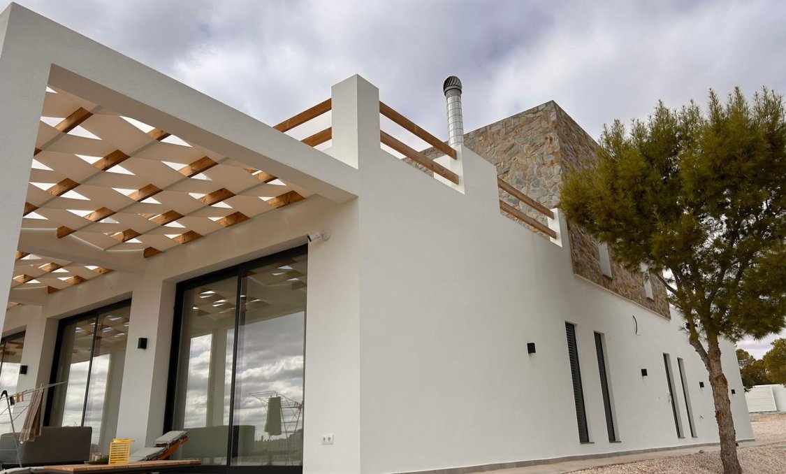 New Build - villa -
Pinoso - Casas Pastor