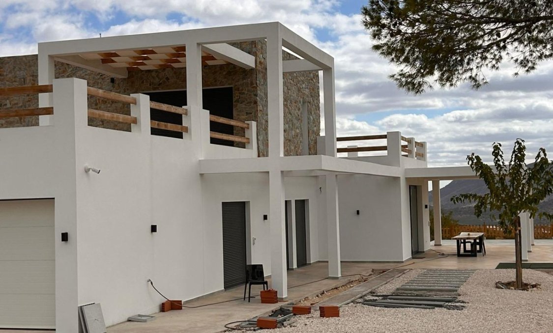 New Build - villa -
Pinoso - Casas Pastor