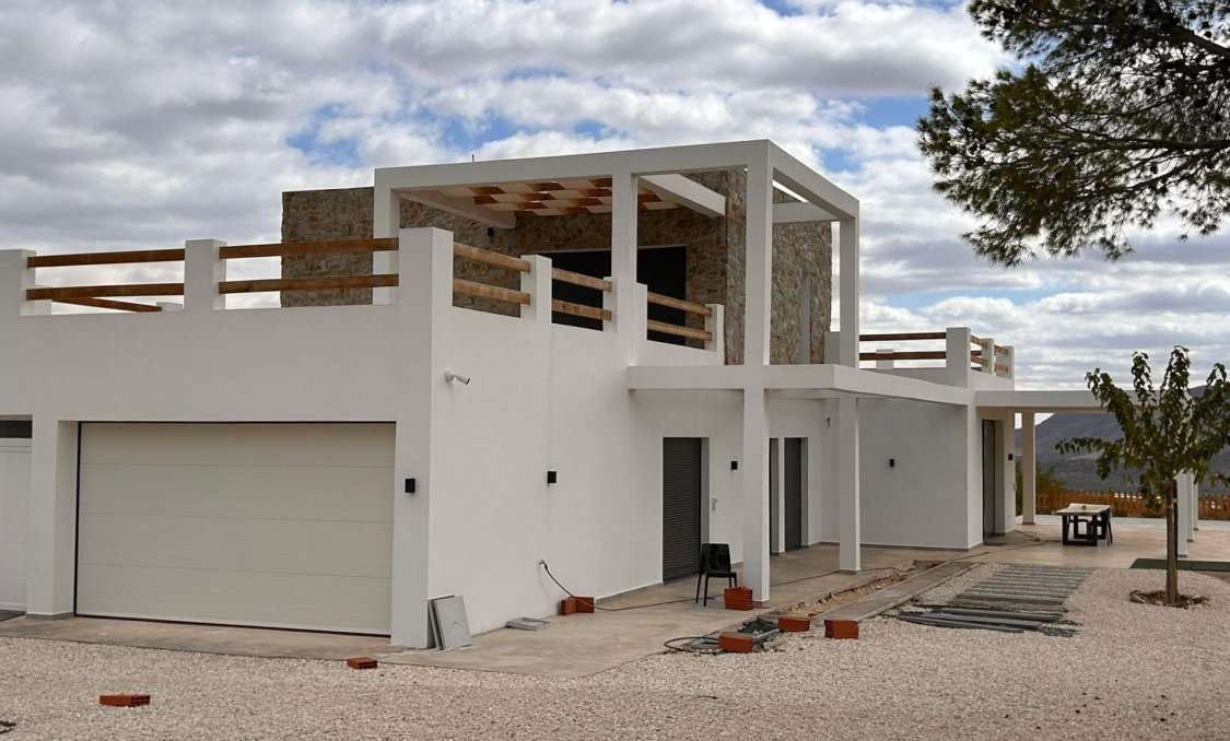 New Build - villa -
Pinoso - Casas Pastor