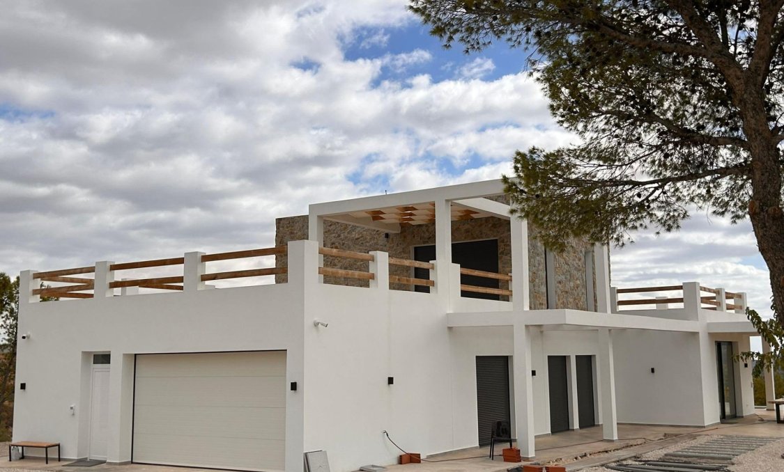 New Build - villa -
Pinoso - Casas Pastor