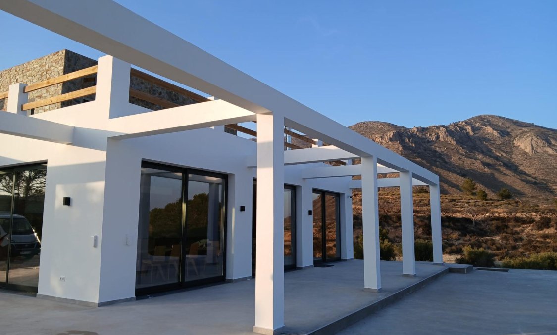 New Build - villa -
Pinoso - Casas Pastor