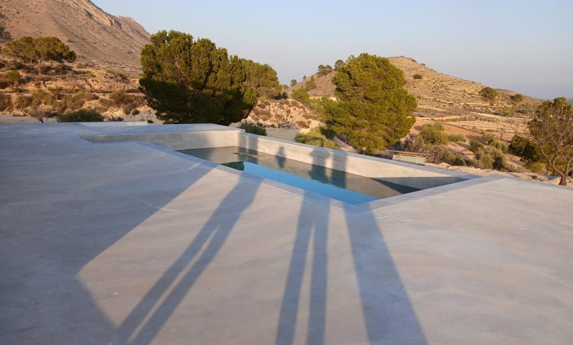 New Build - villa -
Pinoso - Casas Pastor