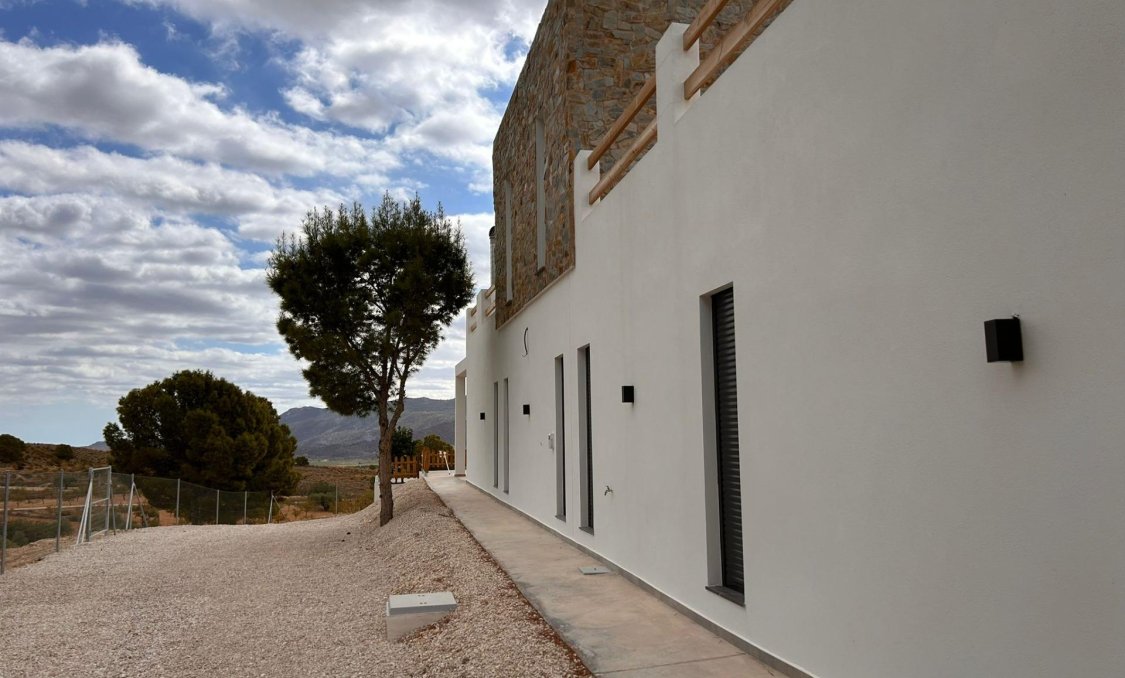 New Build - villa -
Pinoso - Casas Pastor