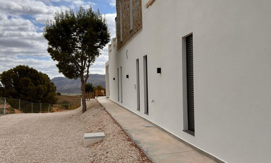 New Build - villa -
Pinoso - Casas Pastor