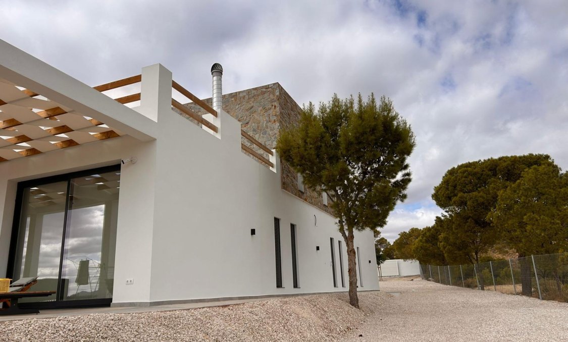 New Build - villa -
Pinoso - Casas Pastor