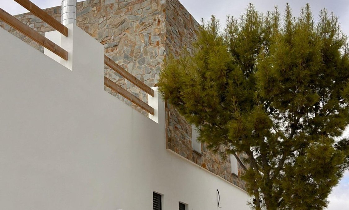 New Build - villa -
Pinoso - Casas Pastor