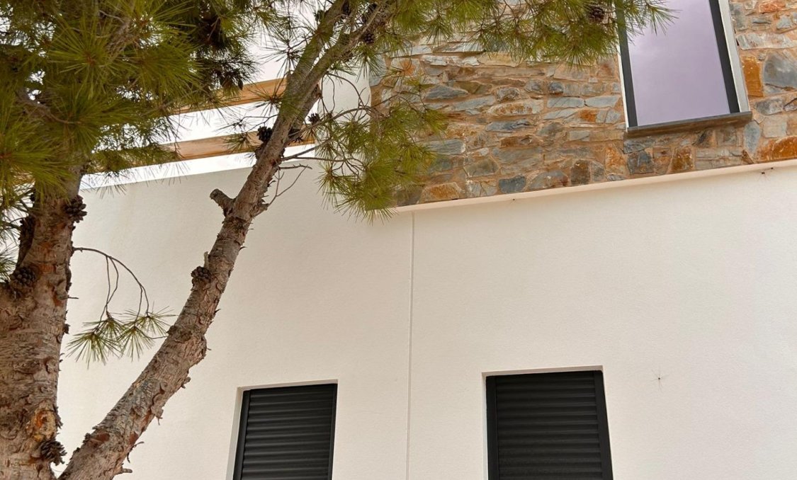 New Build - villa -
Pinoso - Casas Pastor