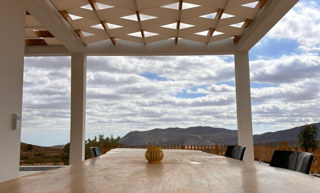 New Build - villa -
Pinoso - Casas Pastor