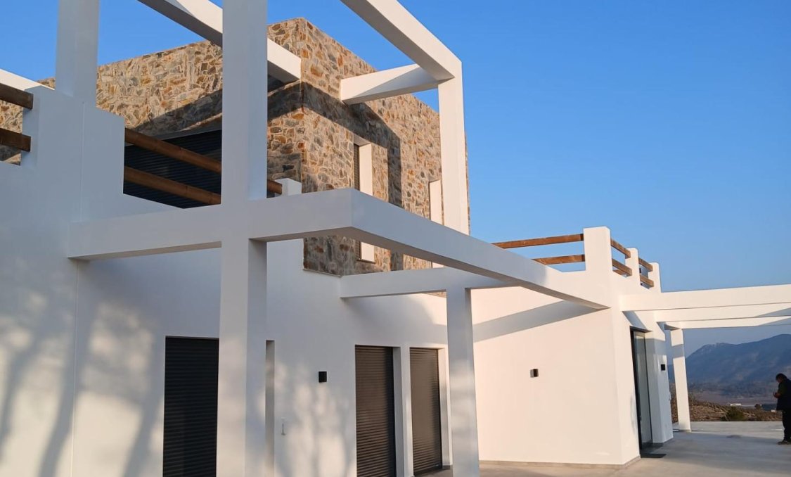 New Build - villa -
Pinoso - Casas Pastor