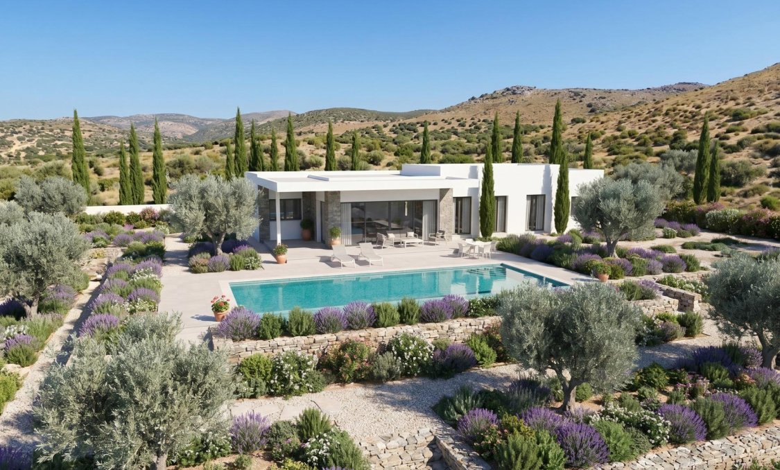 New Build - villa -
Pinoso - Casas Pastor