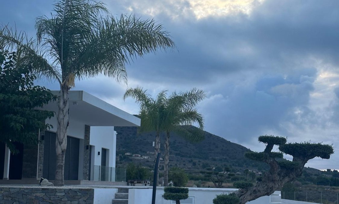 New Build - villa -
Pinoso - Casas Pastor
