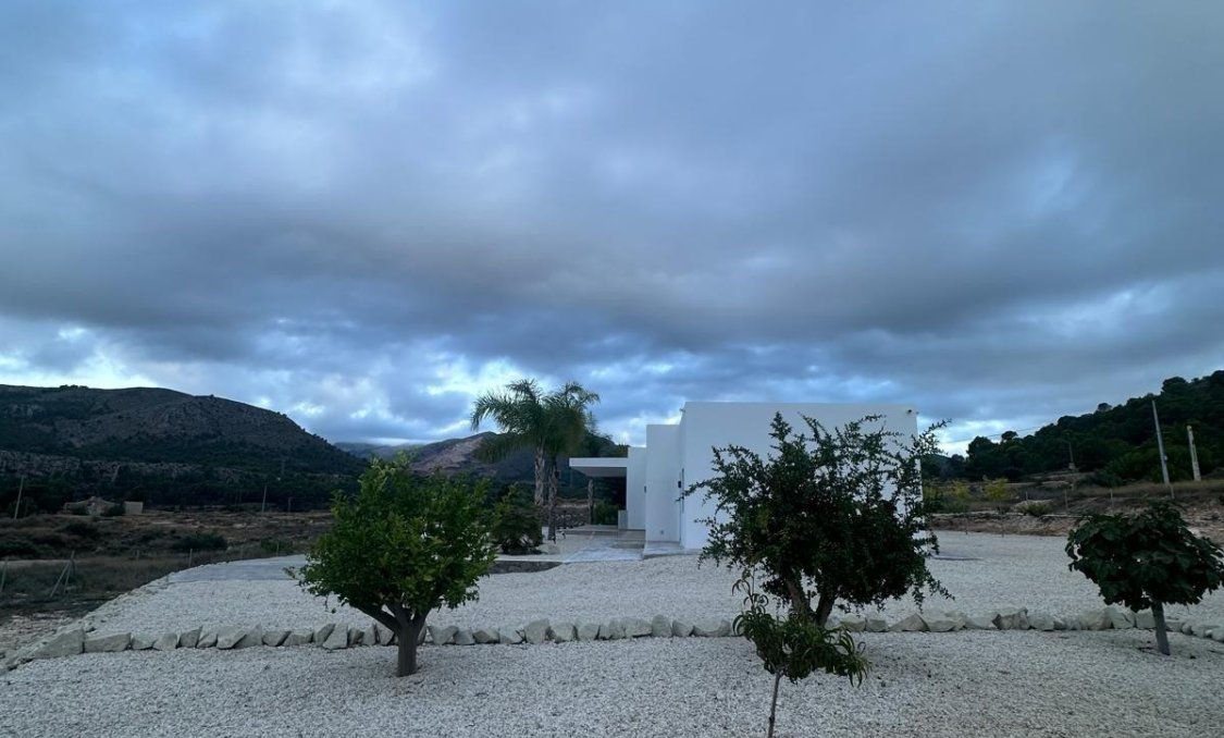 New Build - villa -
Pinoso - Casas Pastor