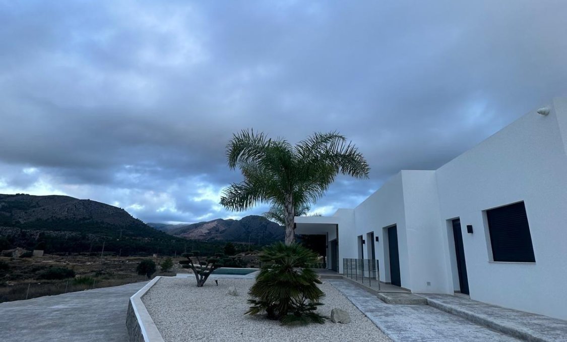 New Build - villa -
Pinoso - Casas Pastor