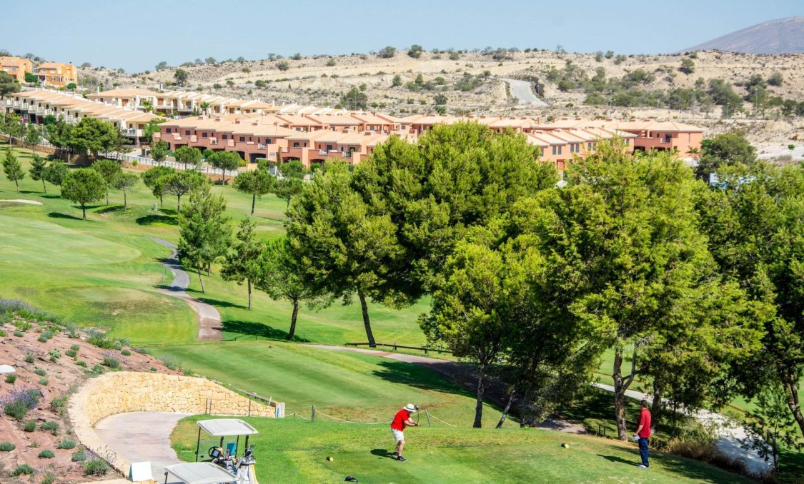 Obra nueva - apartment -
Monforte del Cid - Alenda Golf