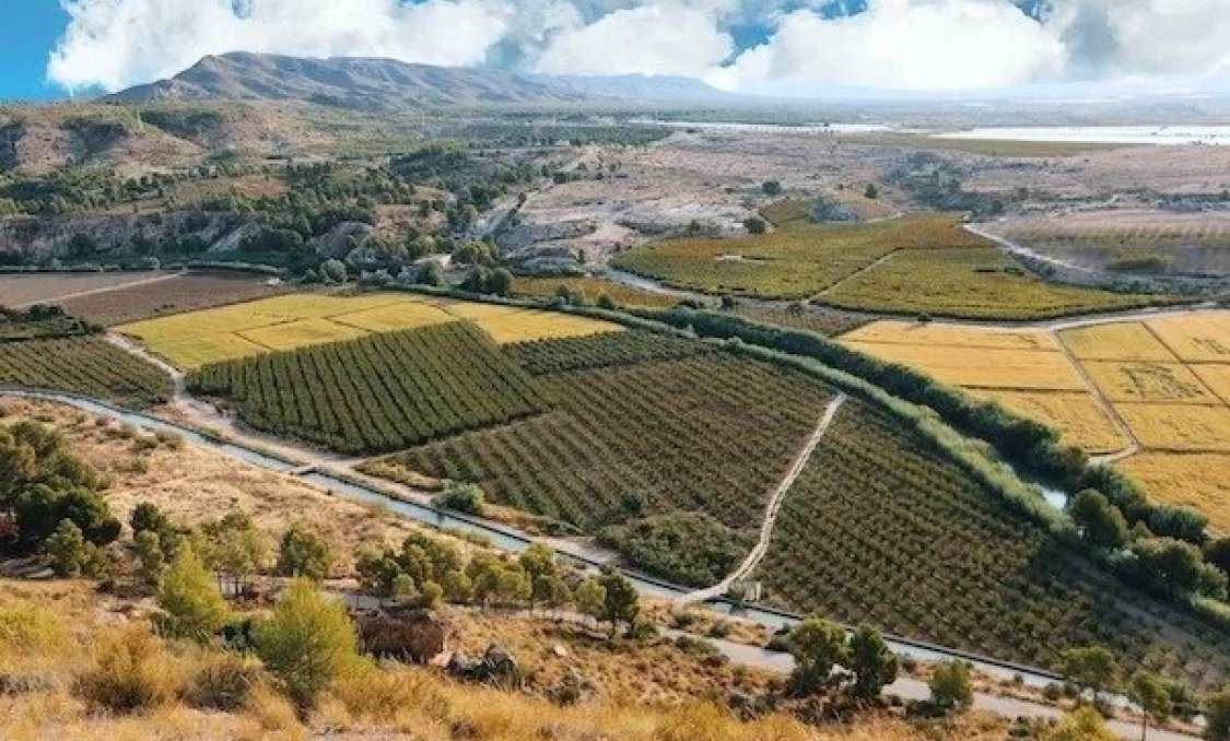 New Build - villa -
Calasparra - Coto Riñales