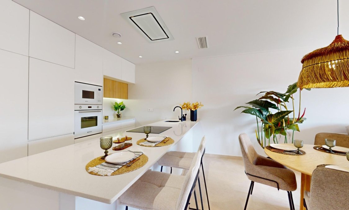 Nowy budynek - Daszek -
Guardamar del Segura - El Raso