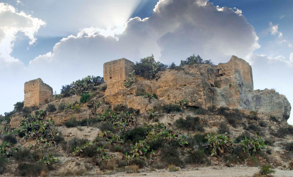 New Build - villa -
Aspe - Centro