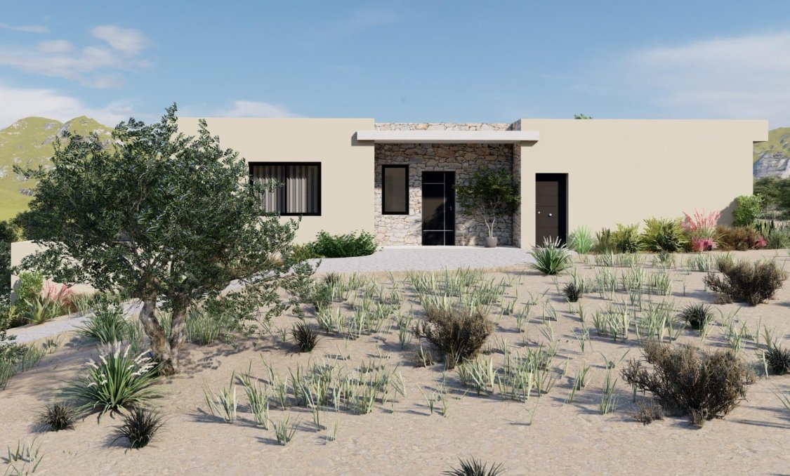 New Build - villa -
Yecla