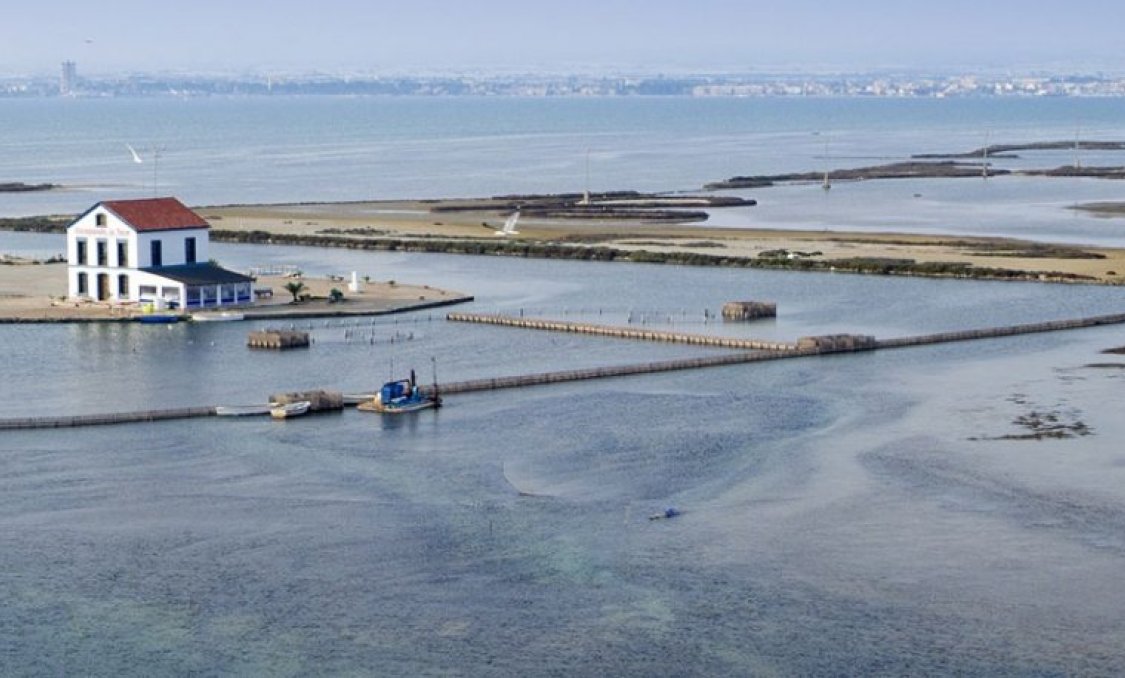 New Build - villa -
San Pedro del Pinatar - El Salero