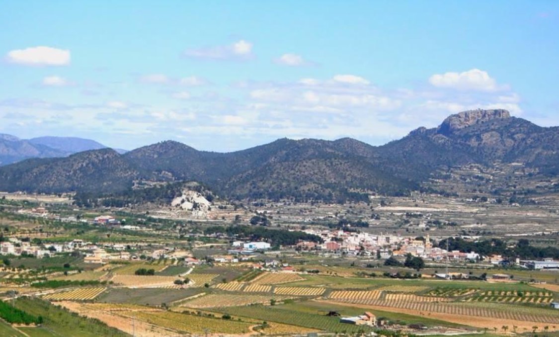 New Build - villa -
La Romana - Batistes