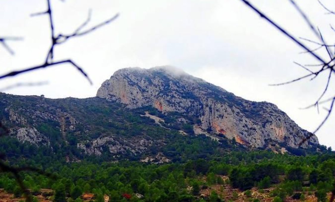 New Build - villa -
La Romana - Batistes